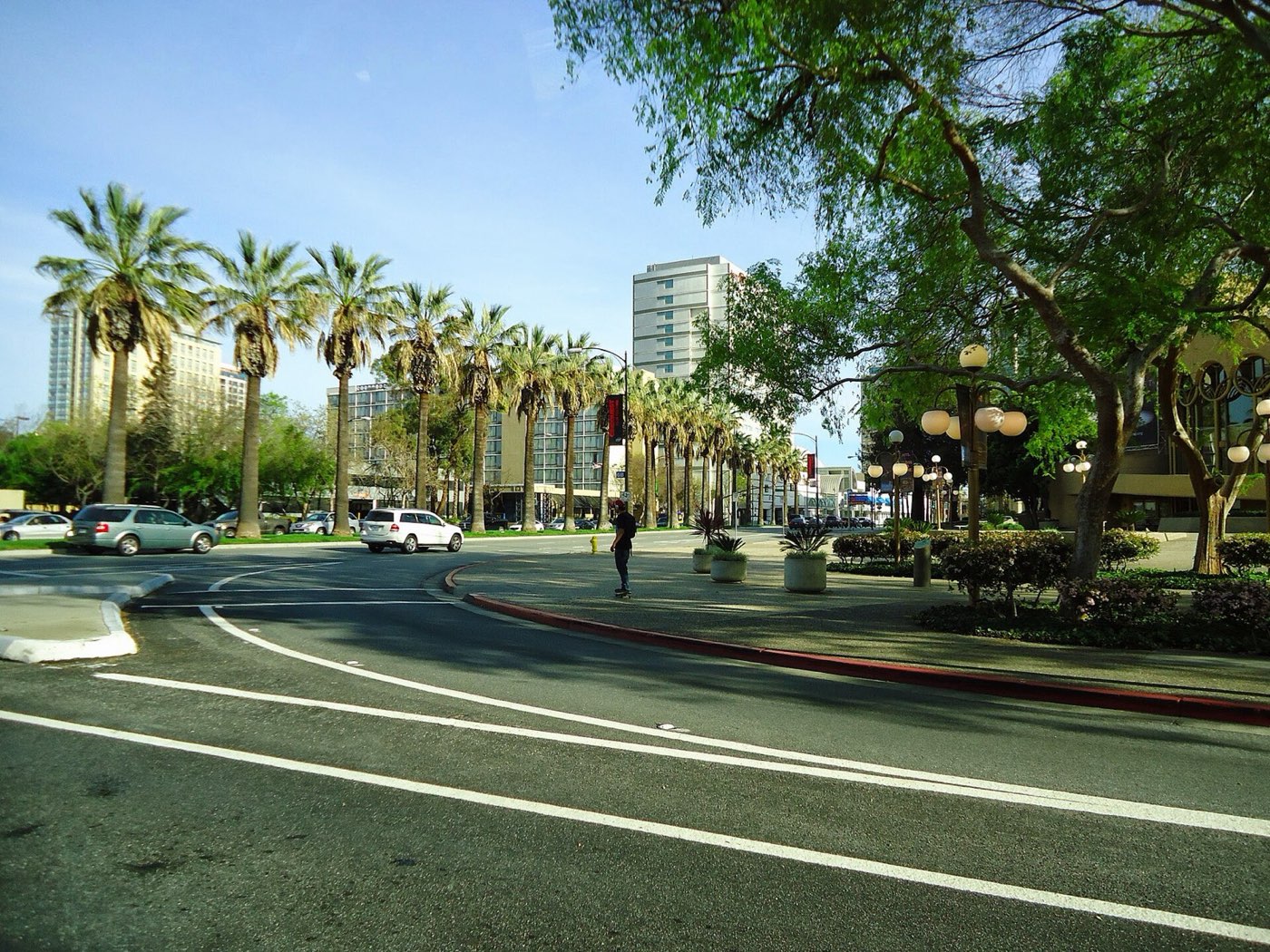 Palm-lined street in downtown San Jose